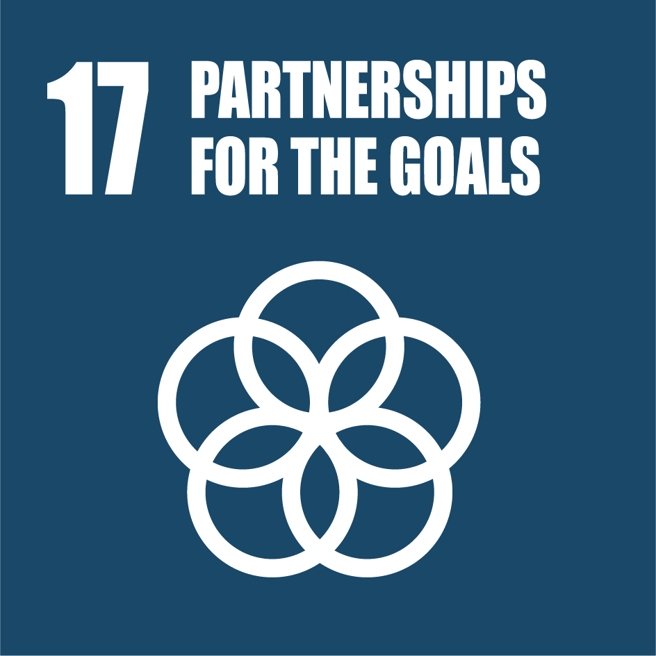 Sustainable Development Goal 17