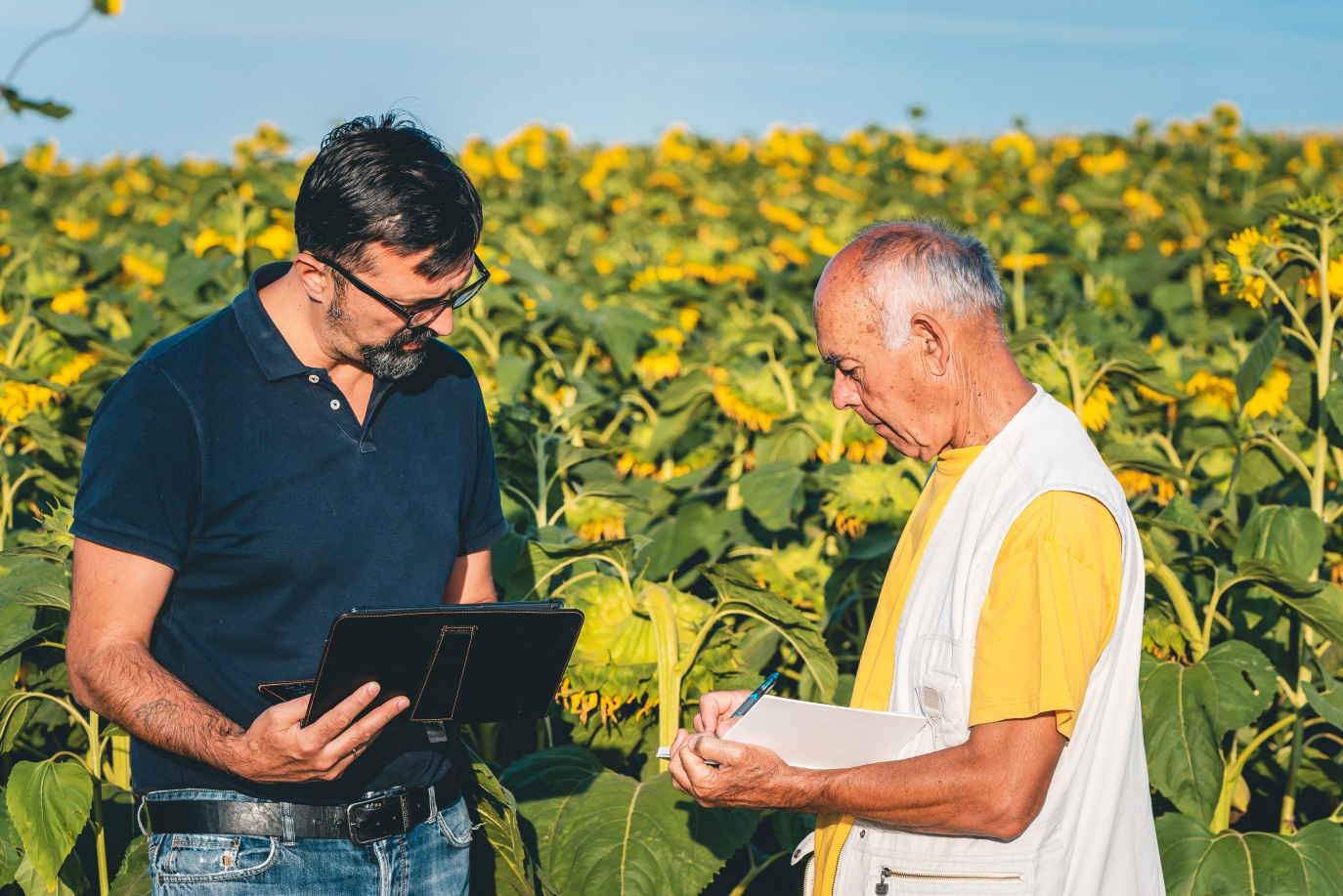 Flower producer being audited  