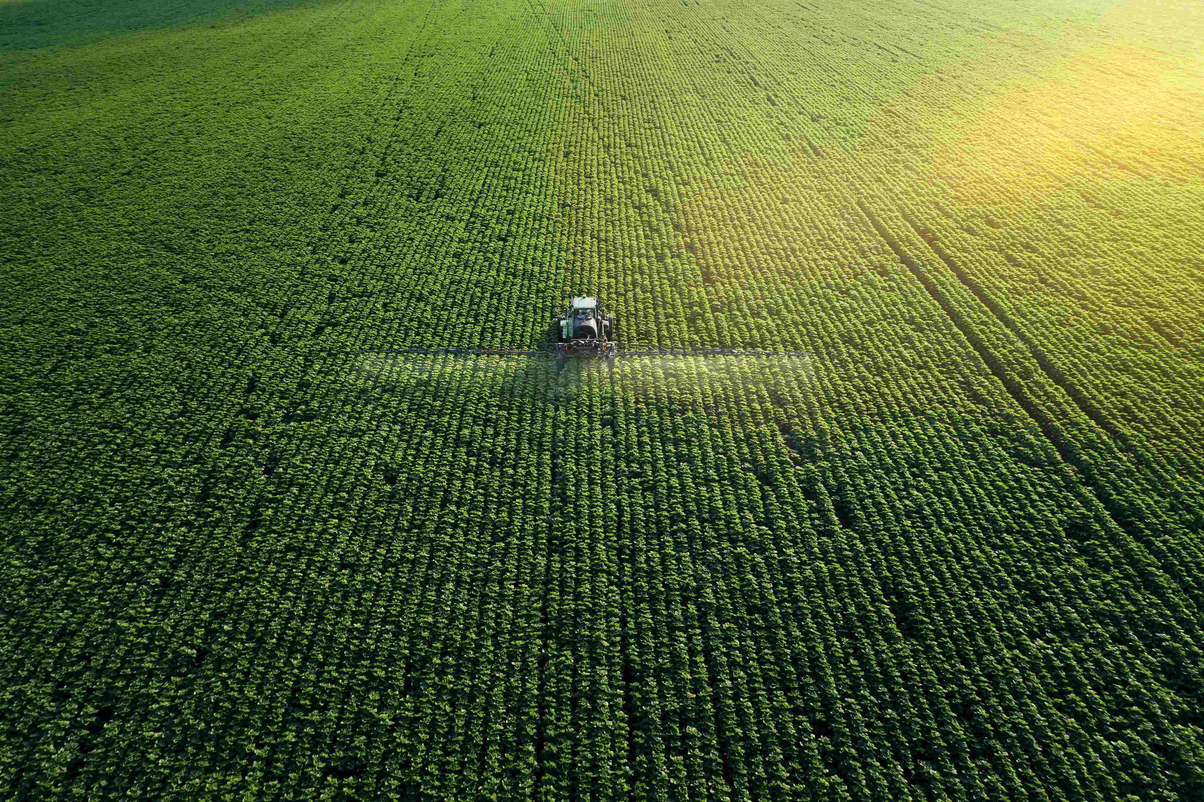 Image of a tractor applying a plant protection product to a field 