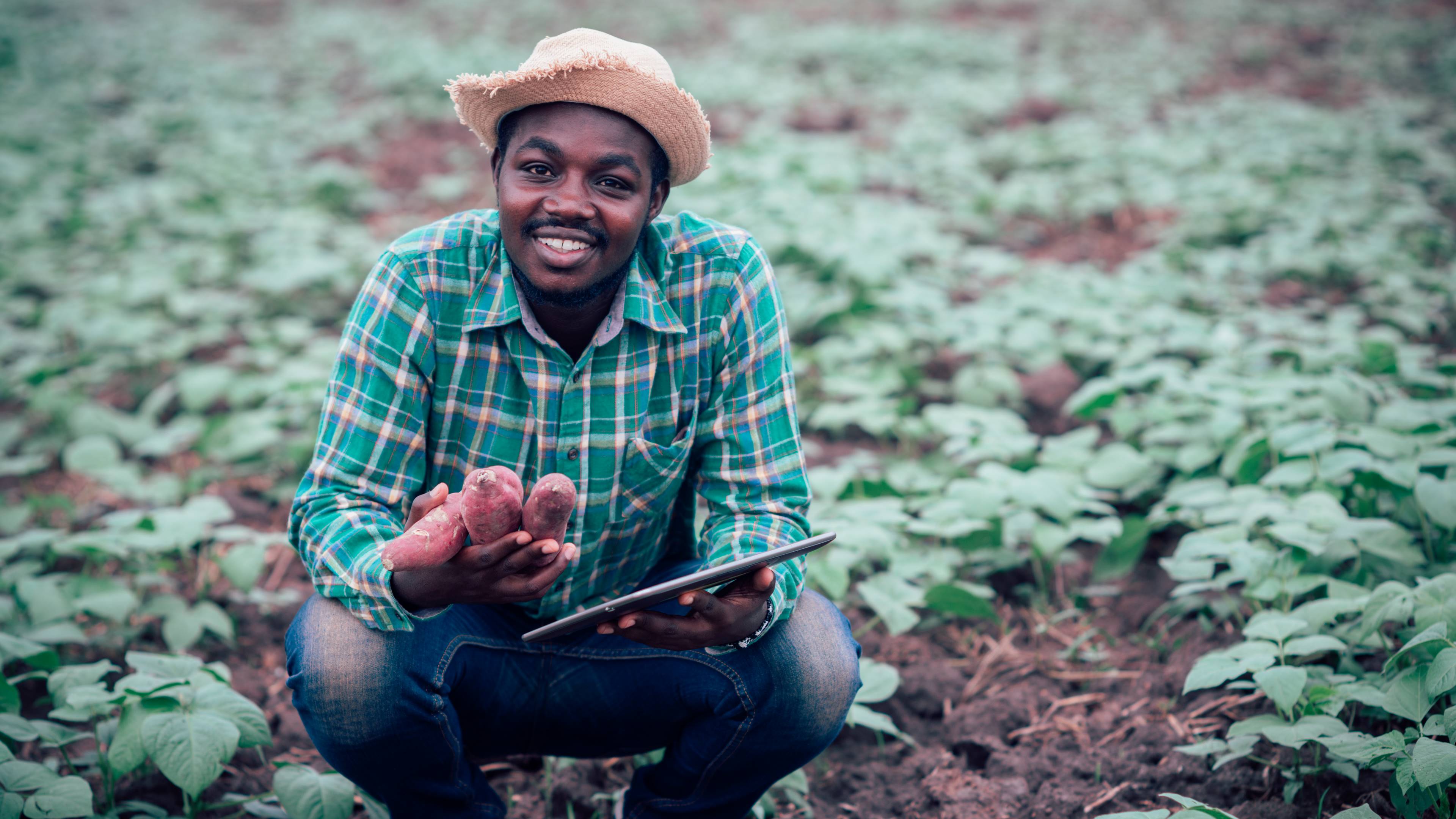 Image of a producer showing harvested crops