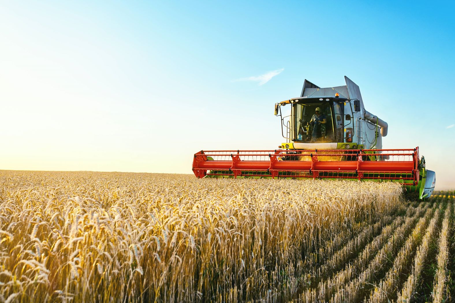 Image of a combine harvester working in a field of wheat