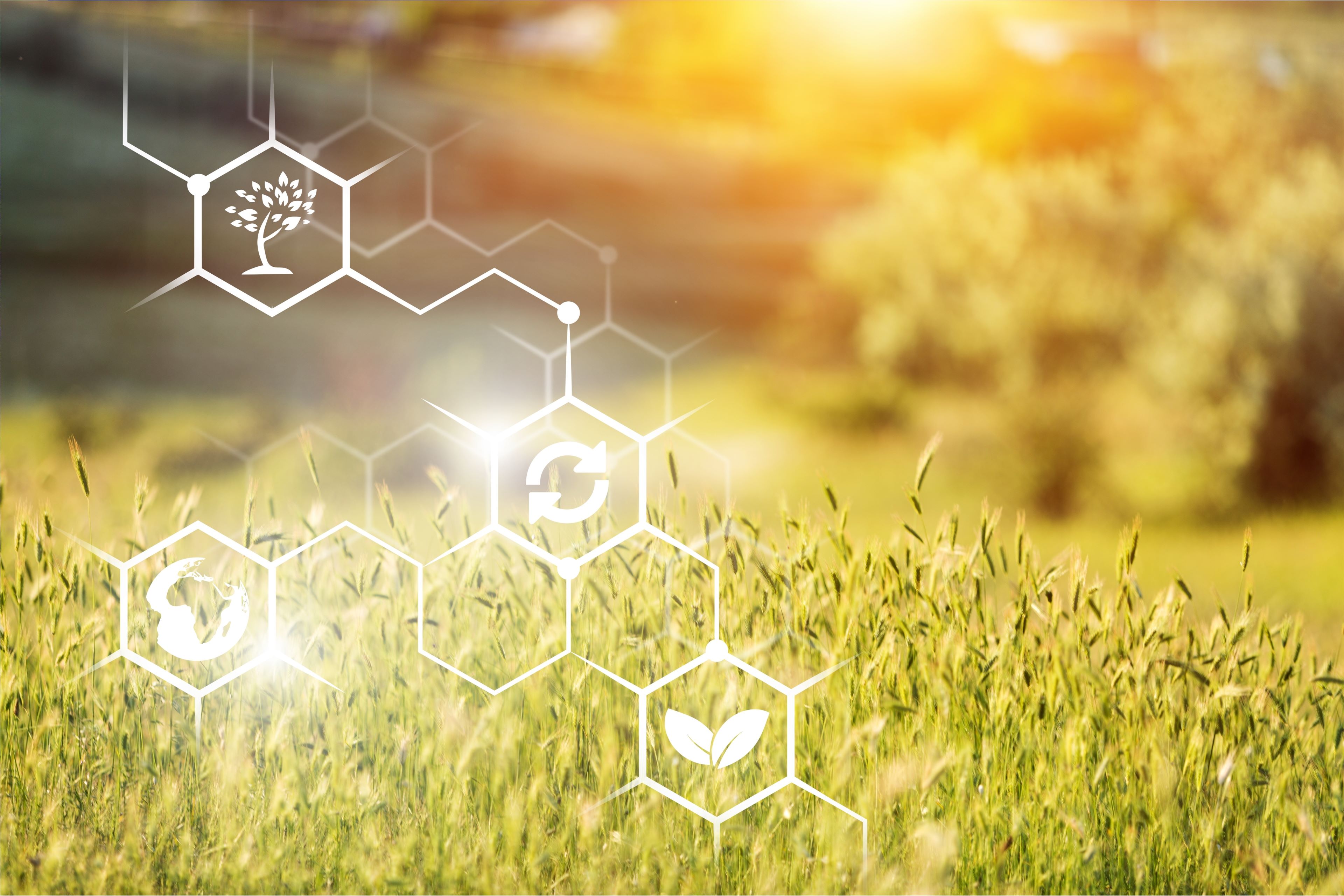 Image representing data insights gained from smart farm assurance solutions