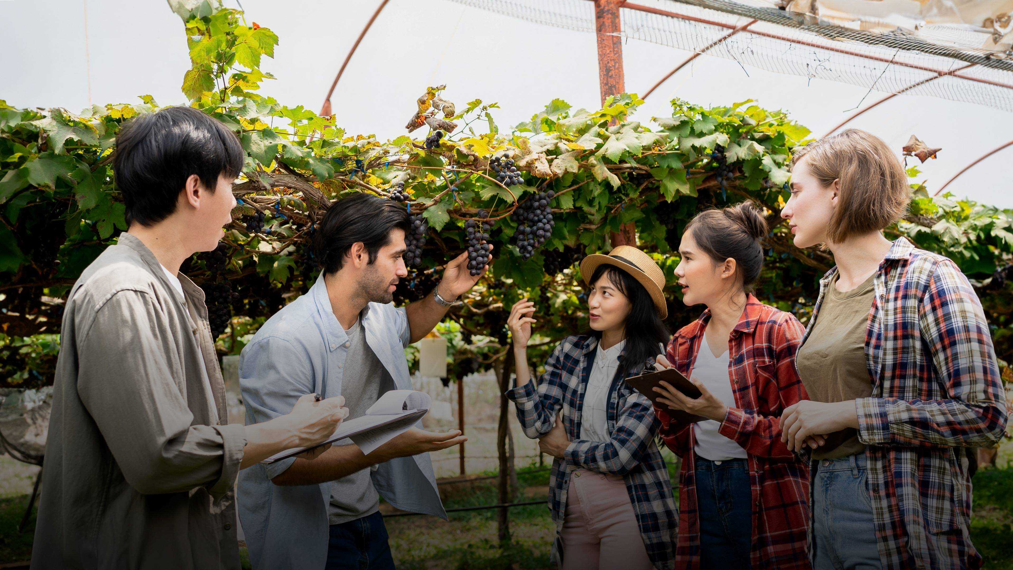 Image of producers receiving a farm tour during a capacity-building training program 
